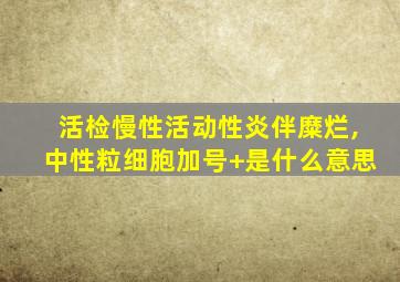 活检慢性活动性炎伴糜烂,中性粒细胞加号+是什么意思