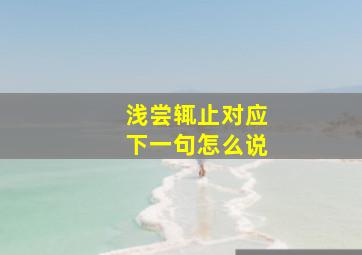 浅尝辄止对应下一句怎么说