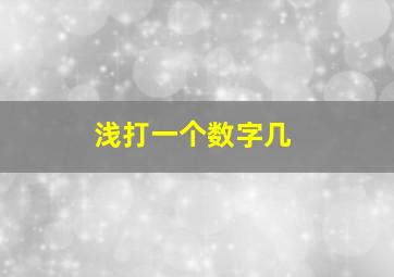 浅打一个数字几