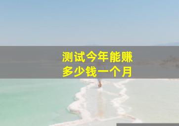 测试今年能赚多少钱一个月