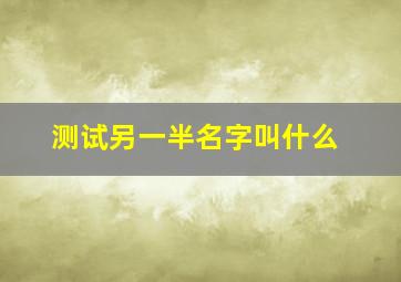 测试另一半名字叫什么