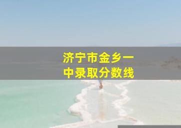 济宁市金乡一中录取分数线