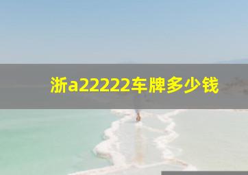 浙a22222车牌多少钱