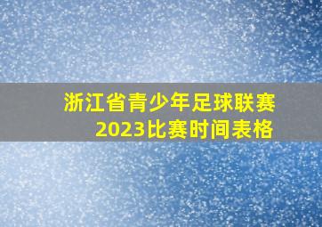 浙江省青少年足球联赛2023比赛时间表格