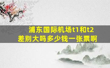 浦东国际机场t1和t2差别大吗多少钱一张票啊