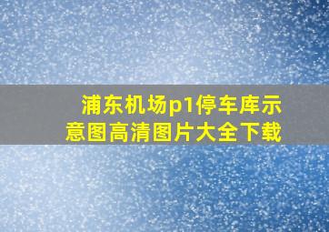 浦东机场p1停车库示意图高清图片大全下载