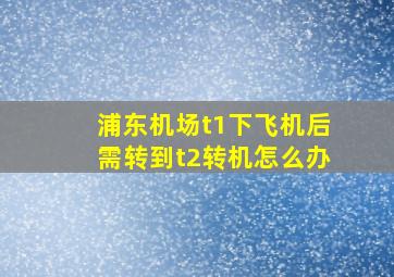 浦东机场t1下飞机后需转到t2转机怎么办