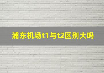 浦东机场t1与t2区别大吗