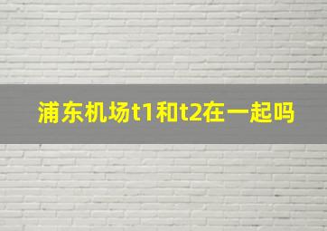 浦东机场t1和t2在一起吗