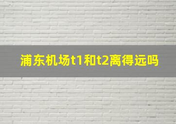 浦东机场t1和t2离得远吗