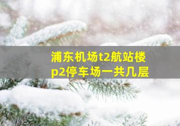 浦东机场t2航站楼p2停车场一共几层