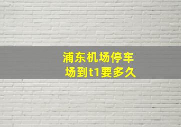 浦东机场停车场到t1要多久