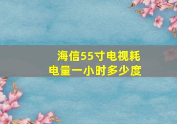 海信55寸电视耗电量一小时多少度