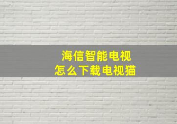 海信智能电视怎么下载电视猫