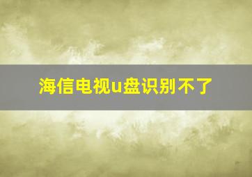 海信电视u盘识别不了