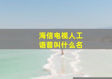 海信电视人工语音叫什么名