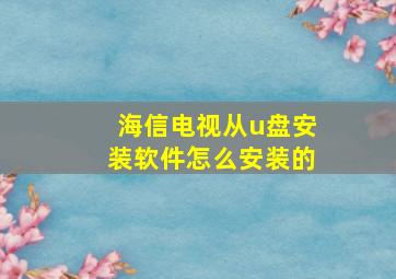 海信电视从u盘安装软件怎么安装的