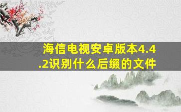 海信电视安卓版本4.4.2识别什么后缀的文件