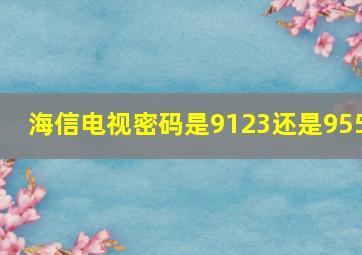 海信电视密码是9123还是955