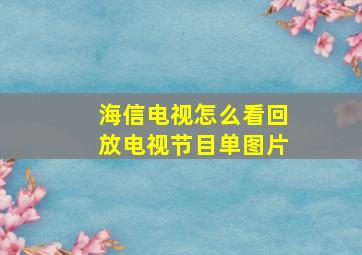 海信电视怎么看回放电视节目单图片