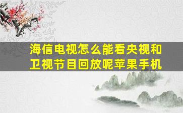 海信电视怎么能看央视和卫视节目回放呢苹果手机