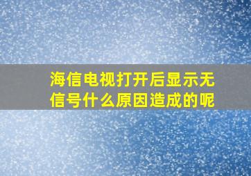 海信电视打开后显示无信号什么原因造成的呢