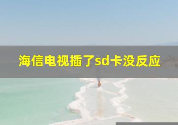 海信电视插了sd卡没反应