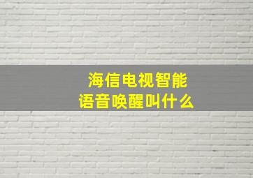 海信电视智能语音唤醒叫什么