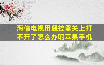 海信电视用遥控器关上打不开了怎么办呢苹果手机