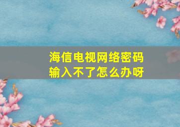 海信电视网络密码输入不了怎么办呀