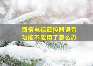 海信电视遥控器语音功能不能用了怎么办