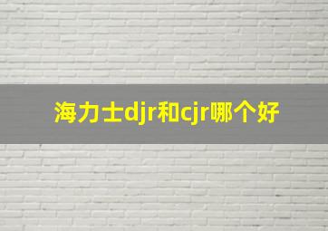 海力士djr和cjr哪个好