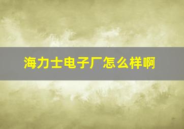 海力士电子厂怎么样啊