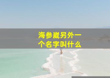 海参崴另外一个名字叫什么