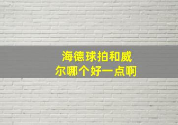 海德球拍和威尔哪个好一点啊