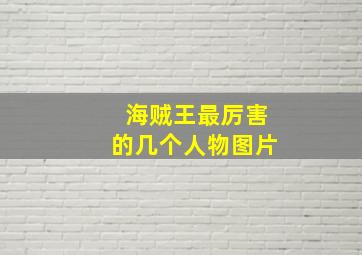 海贼王最厉害的几个人物图片