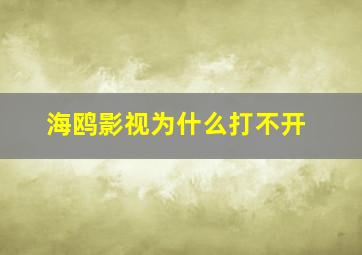 海鸥影视为什么打不开