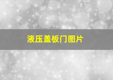 液压盖板门图片