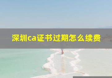 深圳ca证书过期怎么续费