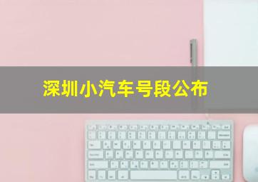 深圳小汽车号段公布