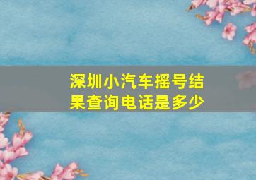 深圳小汽车摇号结果查询电话是多少