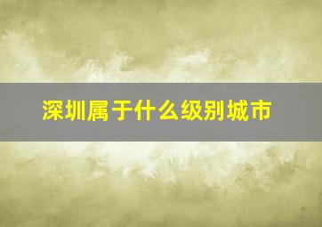 深圳属于什么级别城市