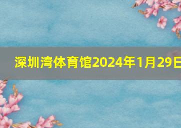 深圳湾体育馆2024年1月29日