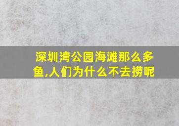 深圳湾公园海滩那么多鱼,人们为什么不去捞呢