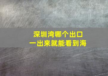 深圳湾哪个出口一出来就能看到海