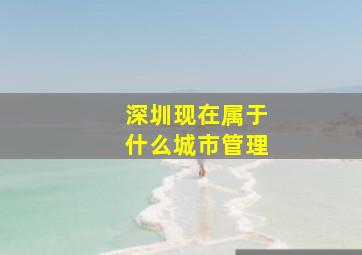 深圳现在属于什么城市管理