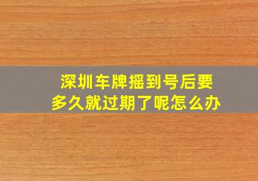 深圳车牌摇到号后要多久就过期了呢怎么办