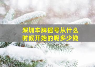 深圳车牌摇号从什么时候开始的呢多少钱