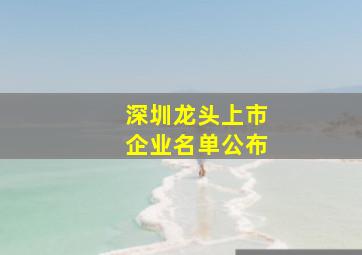 深圳龙头上市企业名单公布