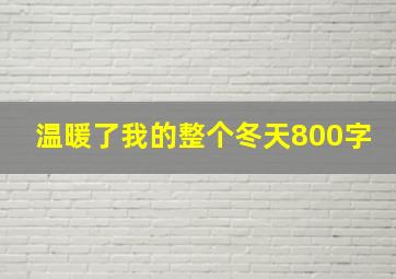 温暖了我的整个冬天800字